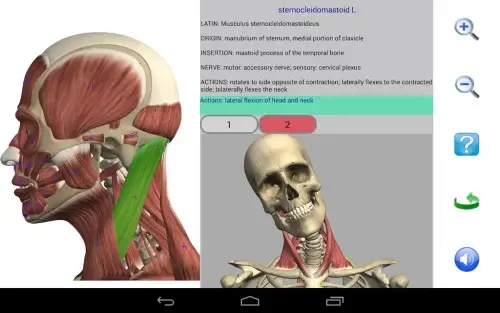 Visual Anatomy 2-screenshot-6